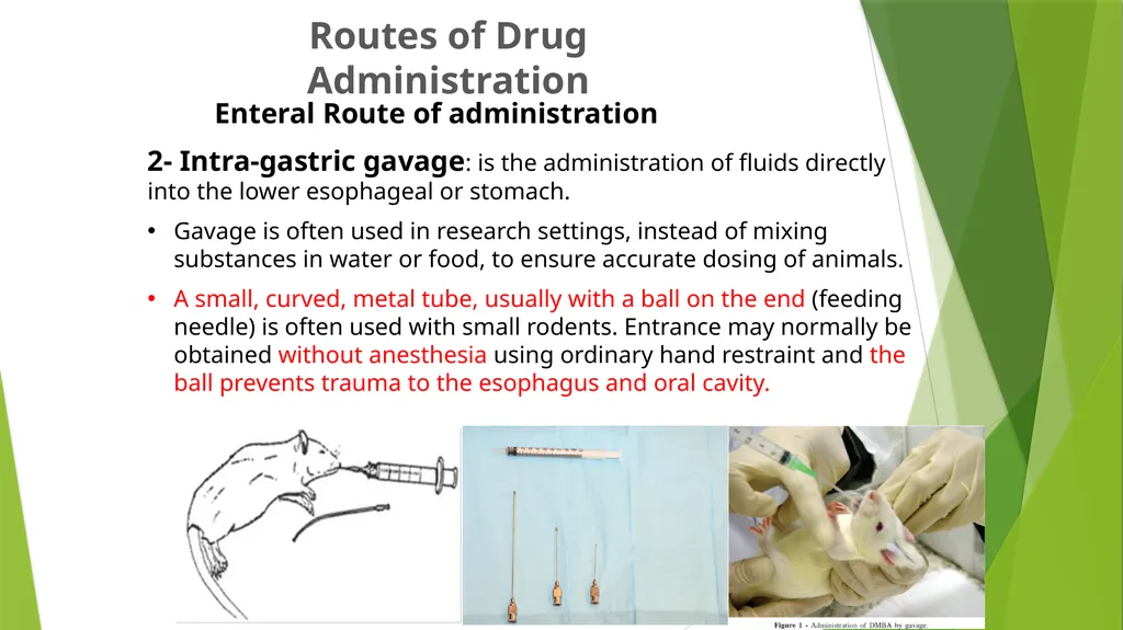 Department of Pharmacology and Toxicology - slide 9 of 21