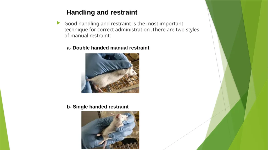 Department of Pharmacology and Toxicology - slide 20 of 21