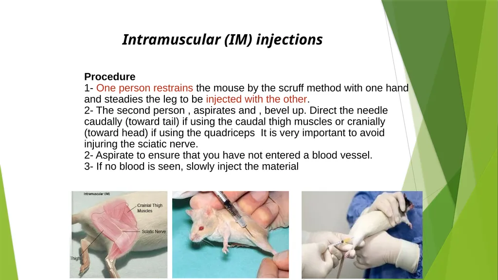 Department of Pharmacology and Toxicology - slide 17 of 21