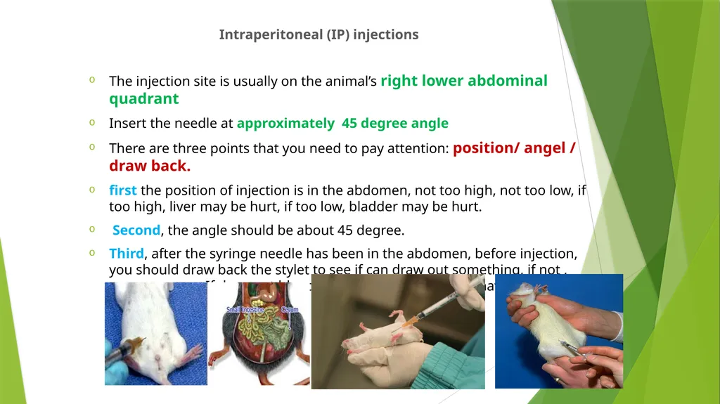 Department of Pharmacology and Toxicology - slide 13 of 21