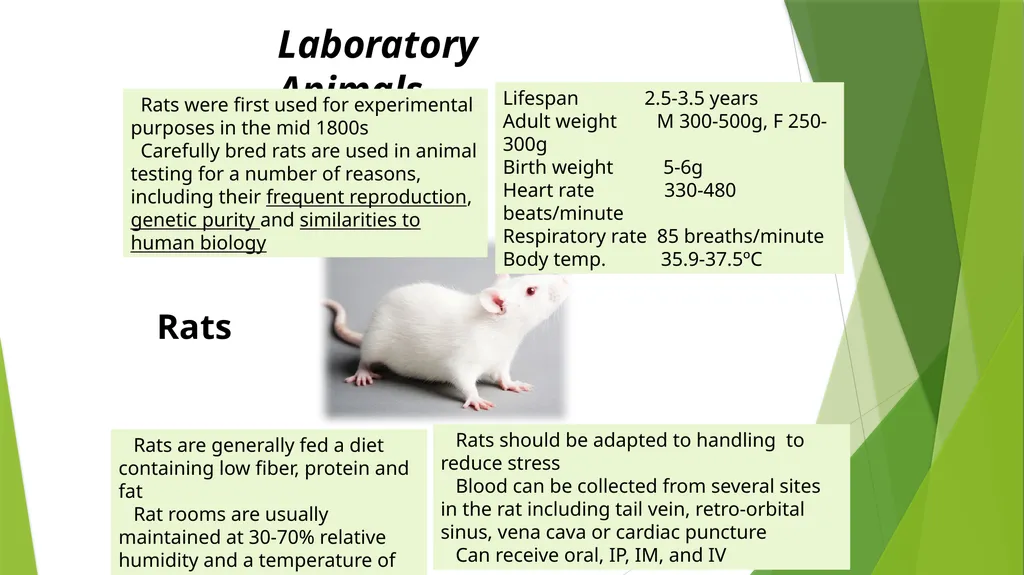 Department of Pharmacology and Toxicology - slide 4 of 21