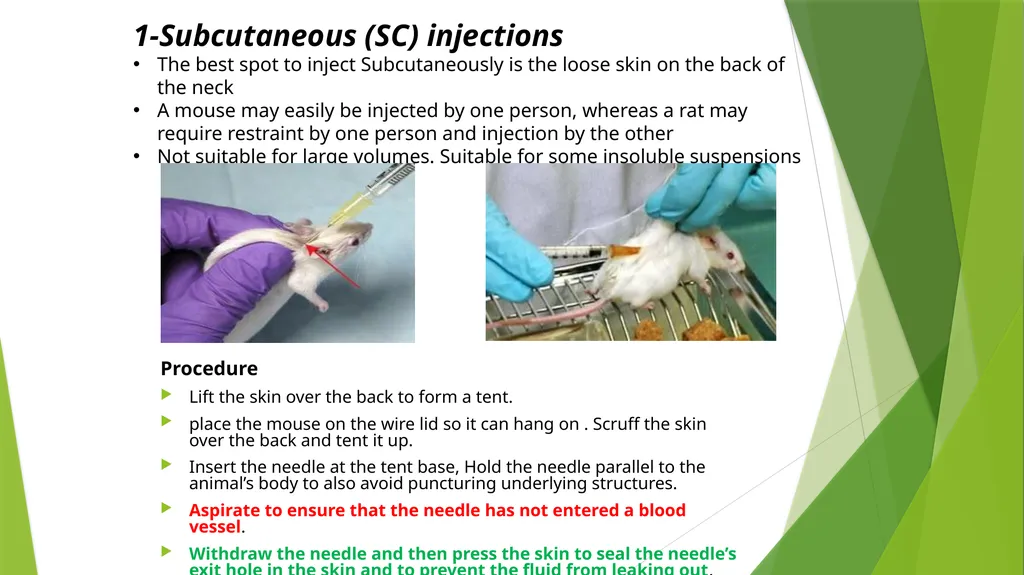 Department of Pharmacology and Toxicology - slide 11 of 21