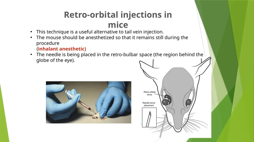 Department of Pharmacology and Toxicology - slide 15 of 21