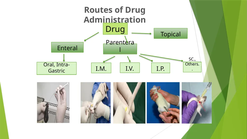 Department of Pharmacology and Toxicology - slide 7 of 21