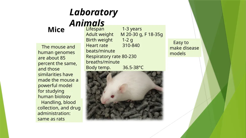 Department of Pharmacology and Toxicology - slide 5 of 21