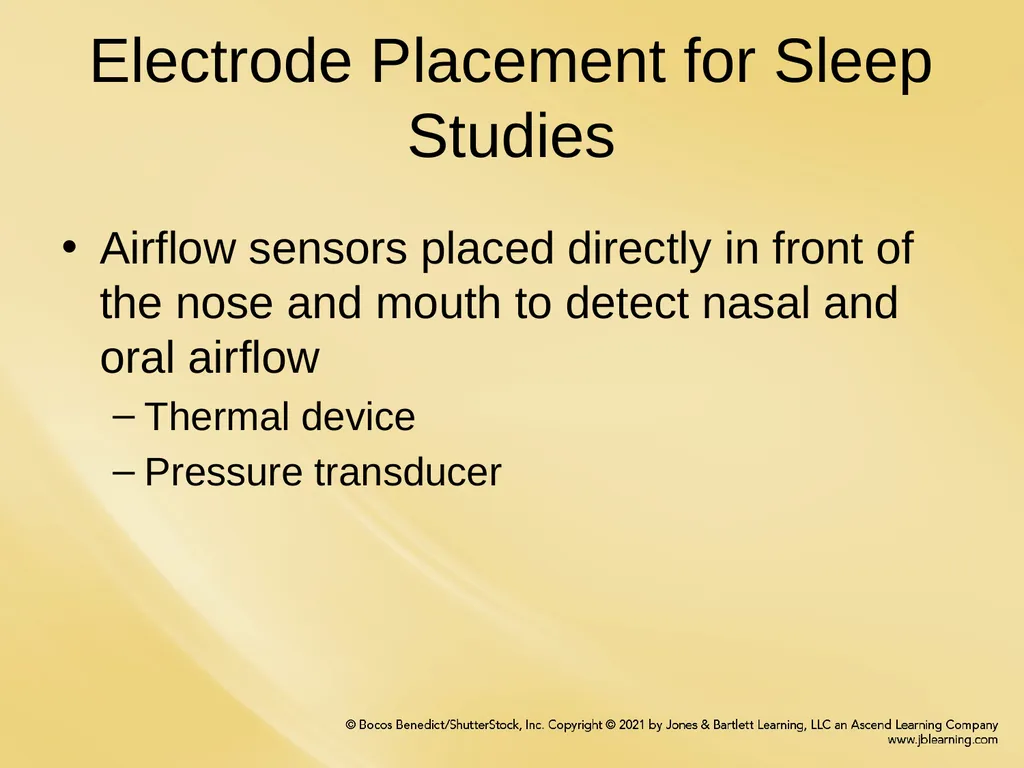 Chapter 6 Patient Hookup Procedures Chapter - slide 9 of 18