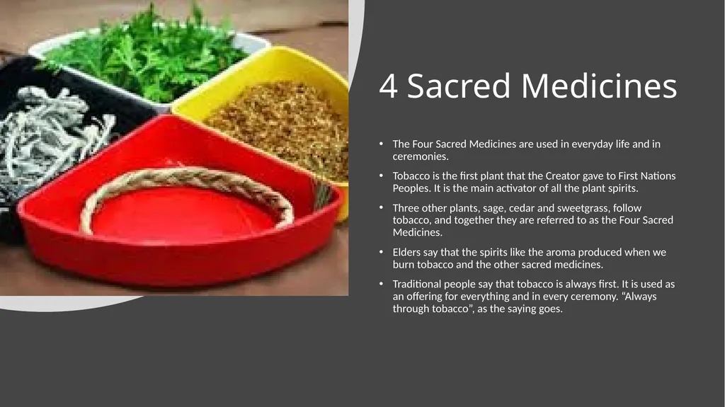 4 Sacred Medicines Medicine Wheel Teachings - slide 2 of 8