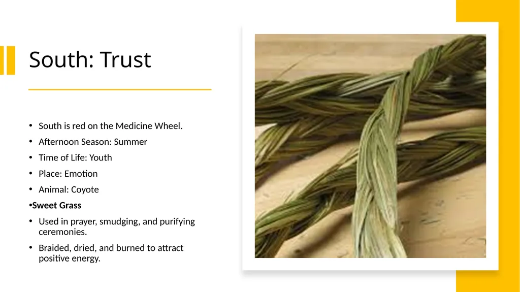4 Sacred Medicines Medicine Wheel Teachings - slide 5 of 8