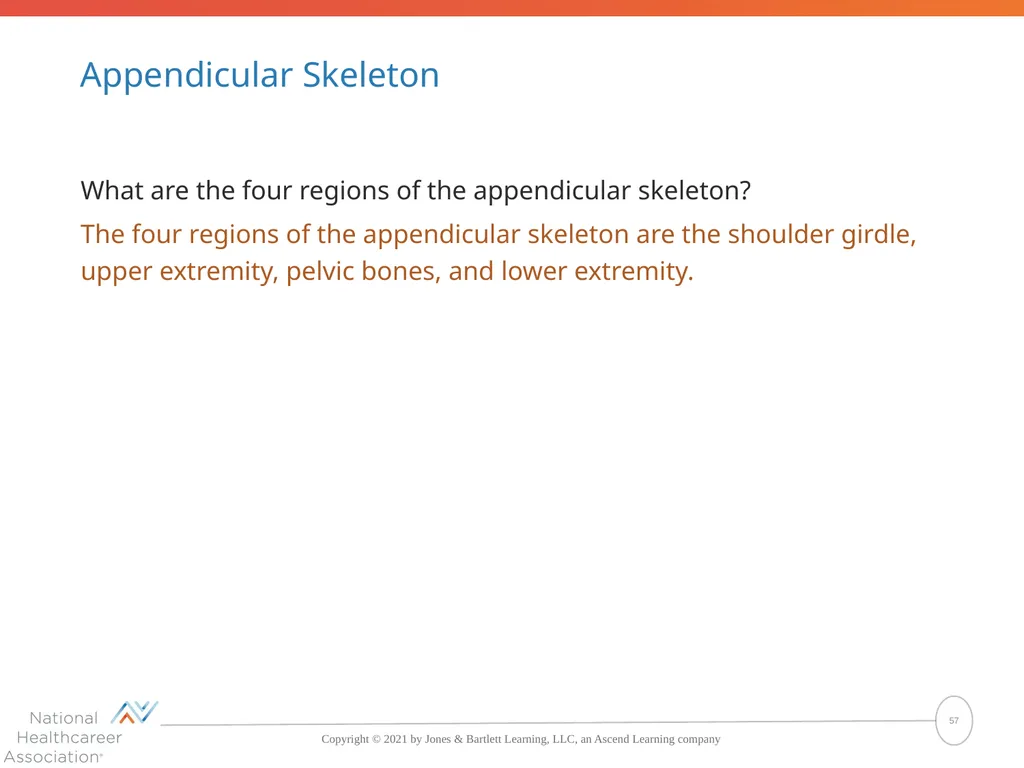 The Skeletal System: Bones and Joints Copyright © - slide 57 of 88