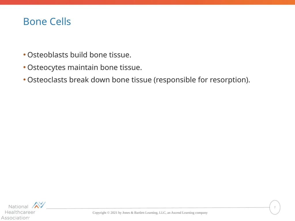 The Skeletal System: Bones and Joints Copyright © - slide 7 of 88