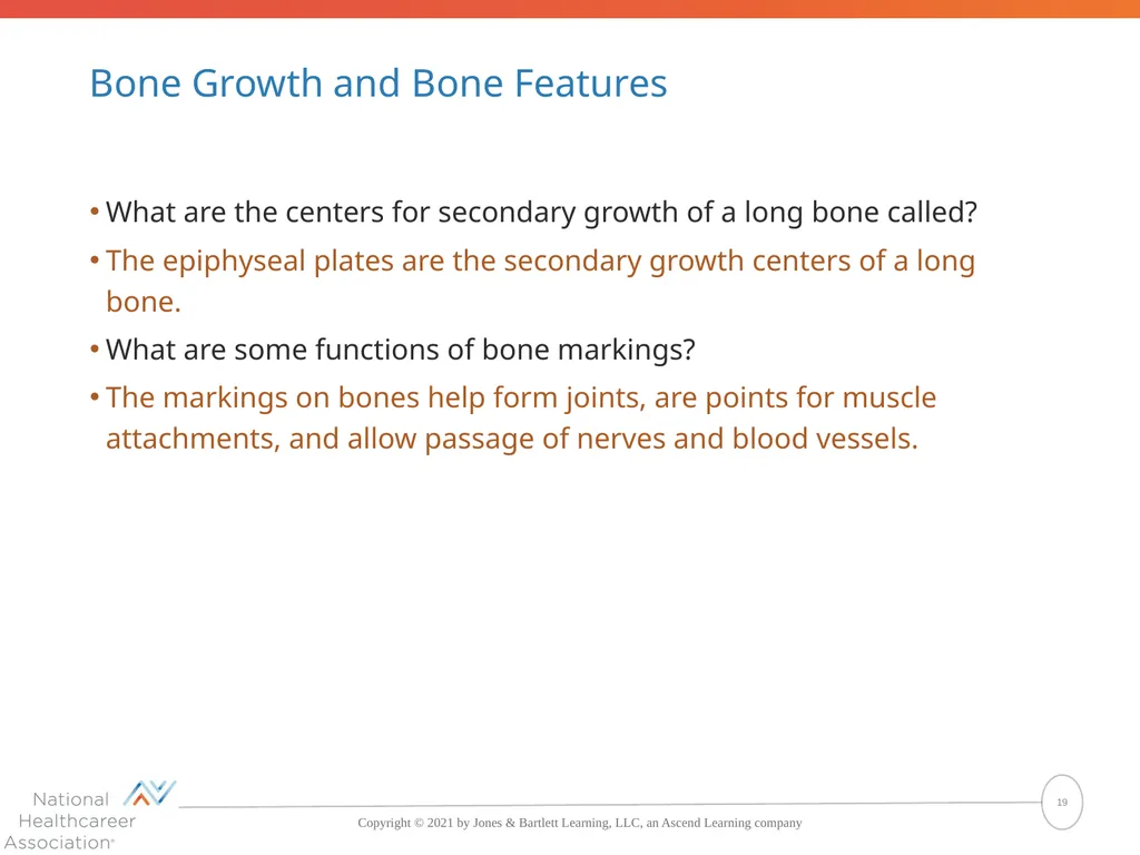 The Skeletal System: Bones and Joints Copyright © - slide 19 of 88