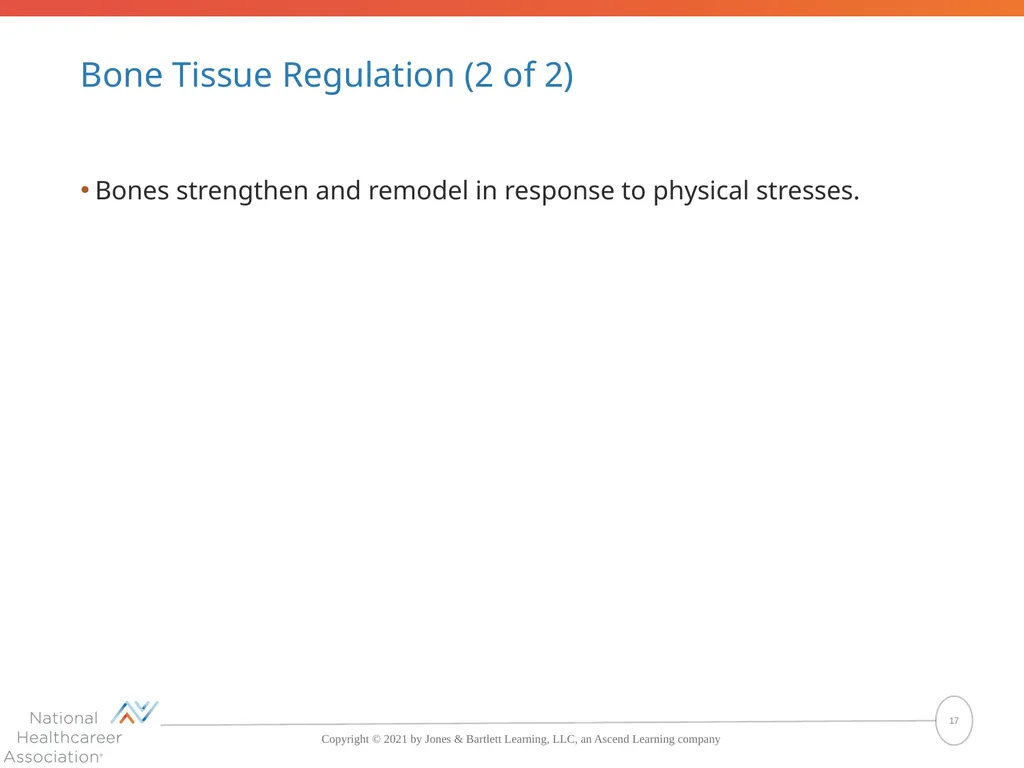 The Skeletal System: Bones and Joints Copyright © - slide 17 of 88