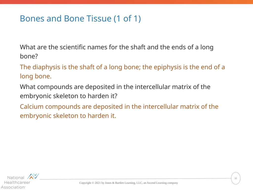 The Skeletal System: Bones and Joints Copyright © - slide 10 of 88
