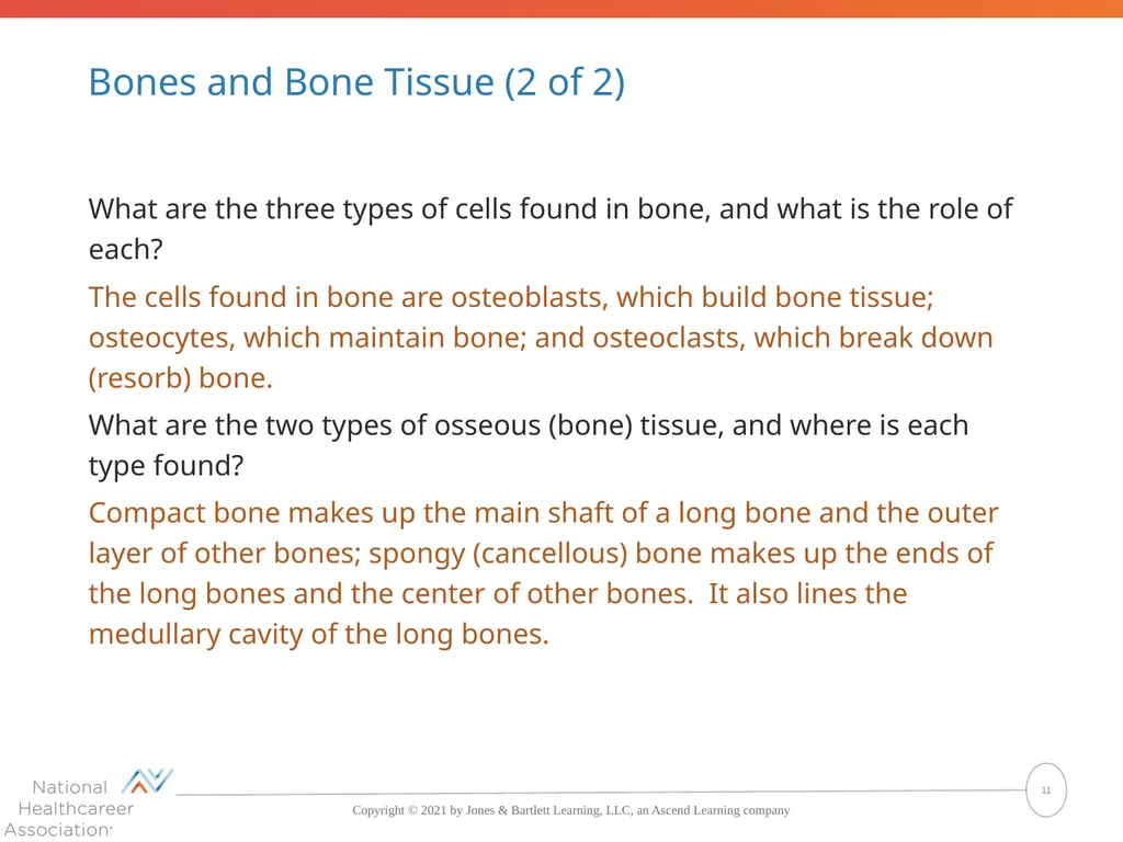 The Skeletal System: Bones and Joints Copyright © - slide 11 of 88