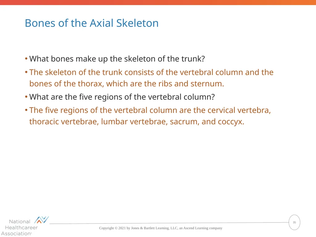 The Skeletal System: Bones and Joints Copyright © - slide 35 of 88