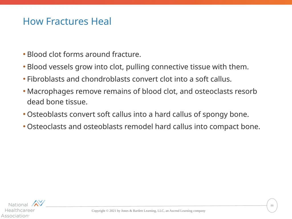 The Skeletal System: Bones and Joints Copyright © - slide 88 of 88