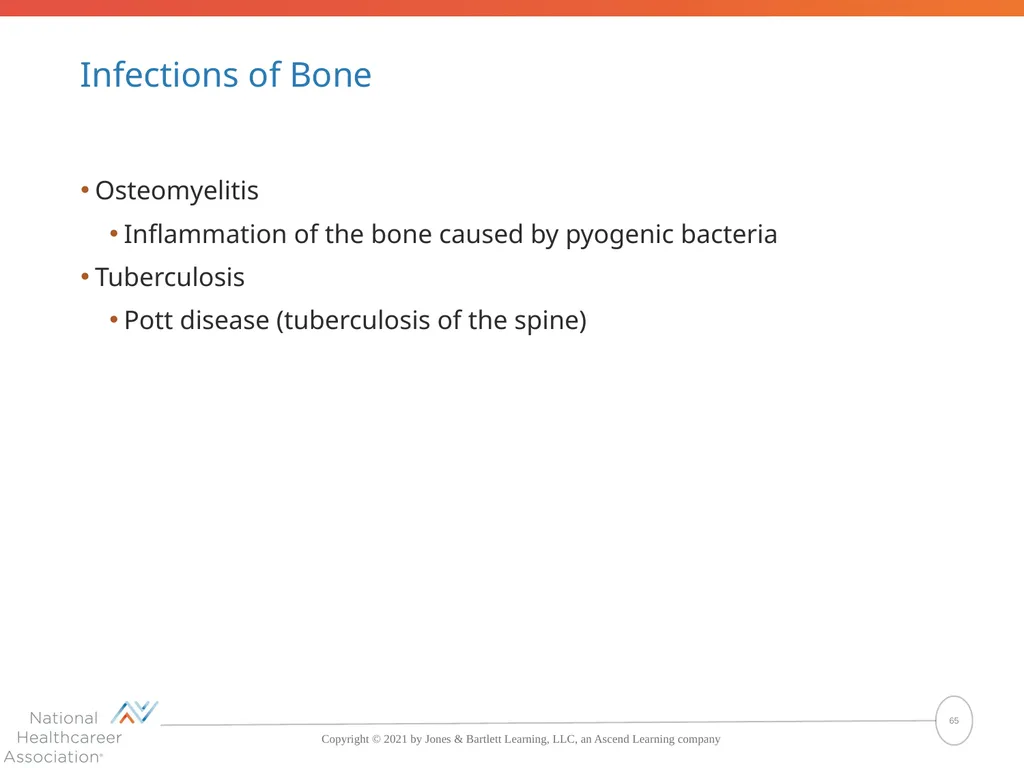 The Skeletal System: Bones and Joints Copyright © - slide 65 of 88