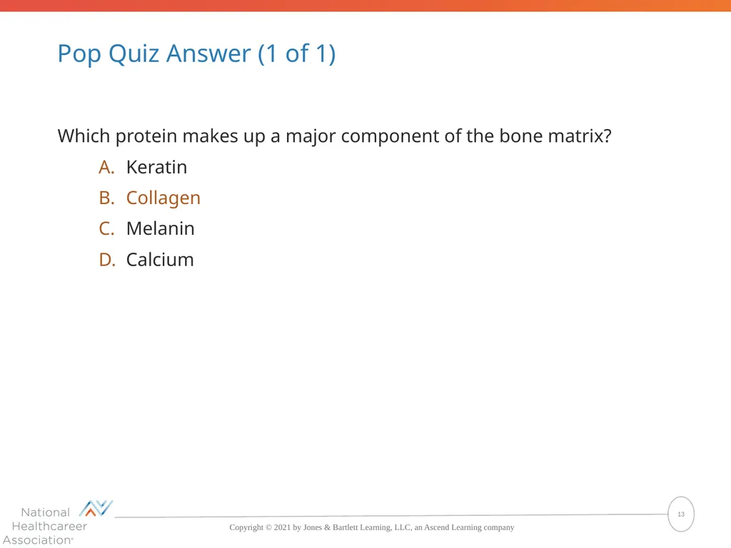 The Skeletal System: Bones and Joints Copyright © - slide 13 of 88