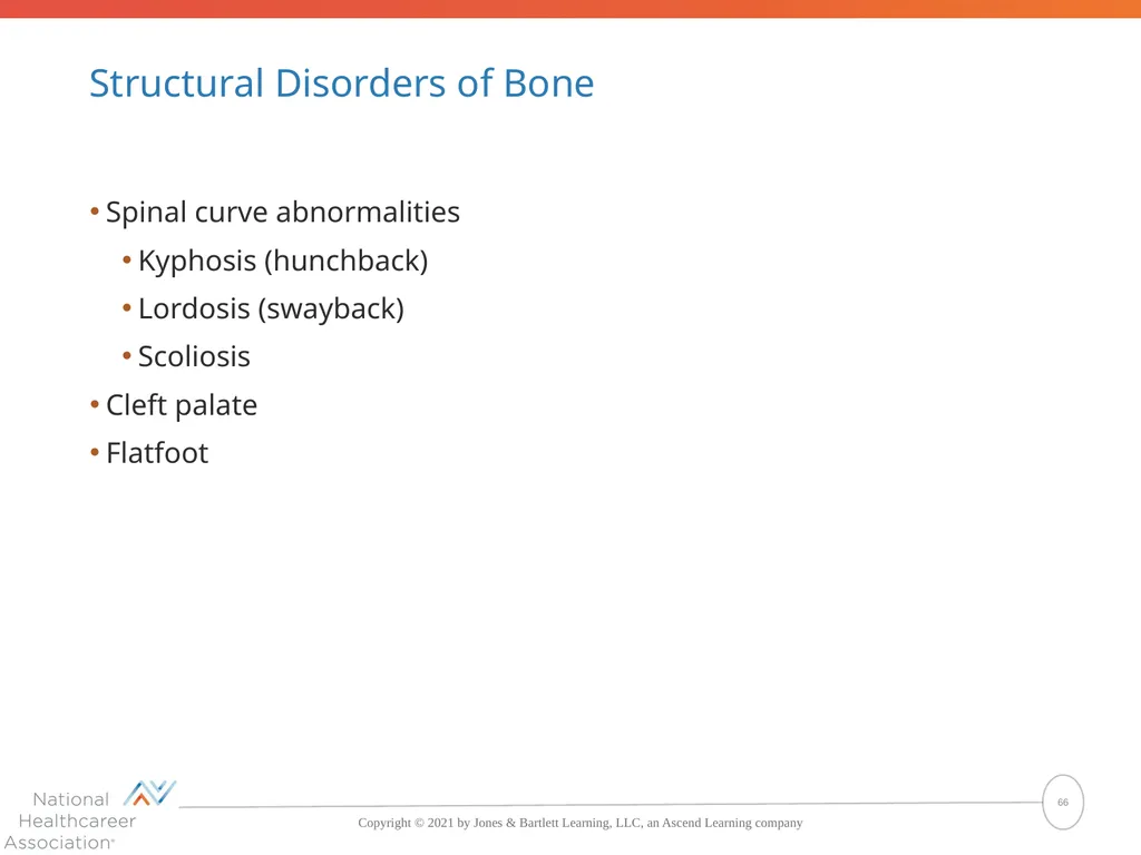The Skeletal System: Bones and Joints Copyright © - slide 66 of 88