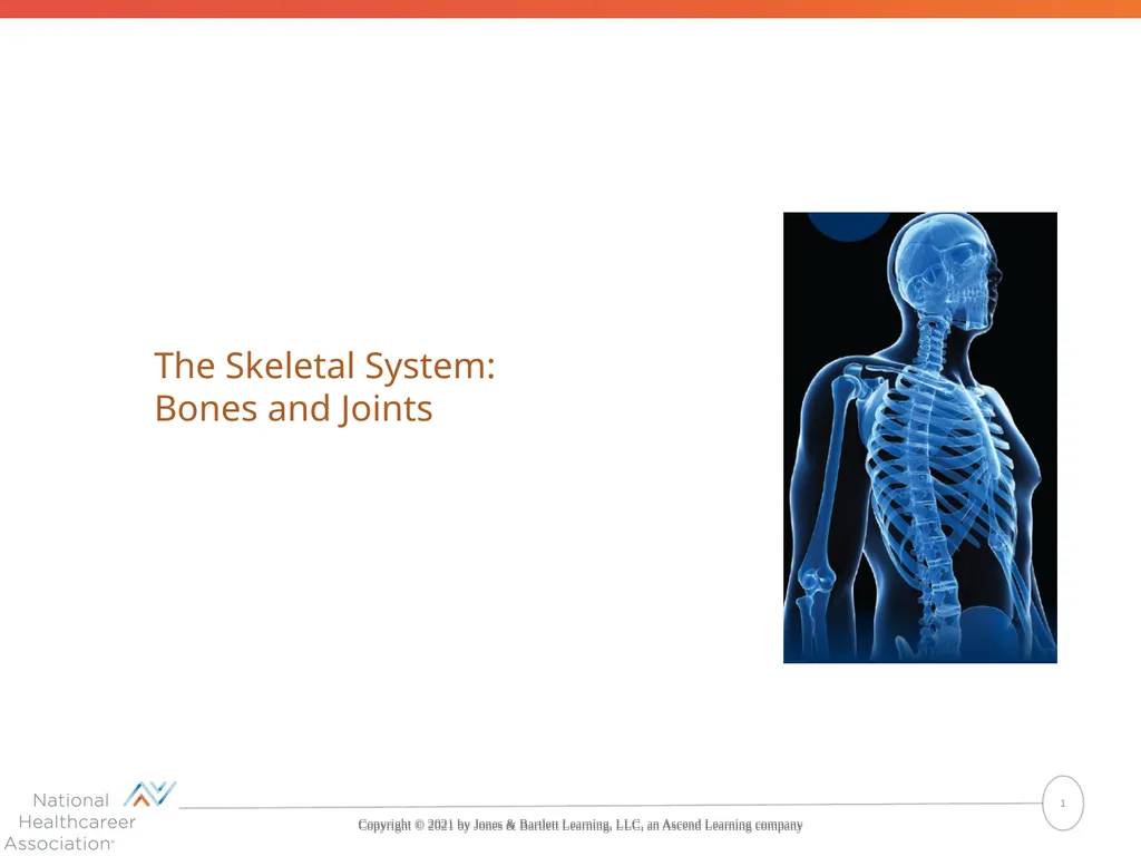 The Skeletal System: Bones and Joints Copyright © - slide 1 of 88