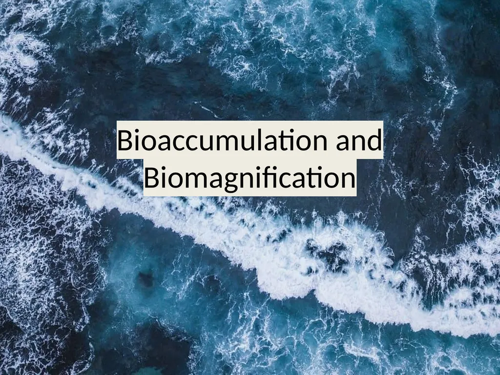 Bioaccumulation and Biomagnification - slide 1 of 14