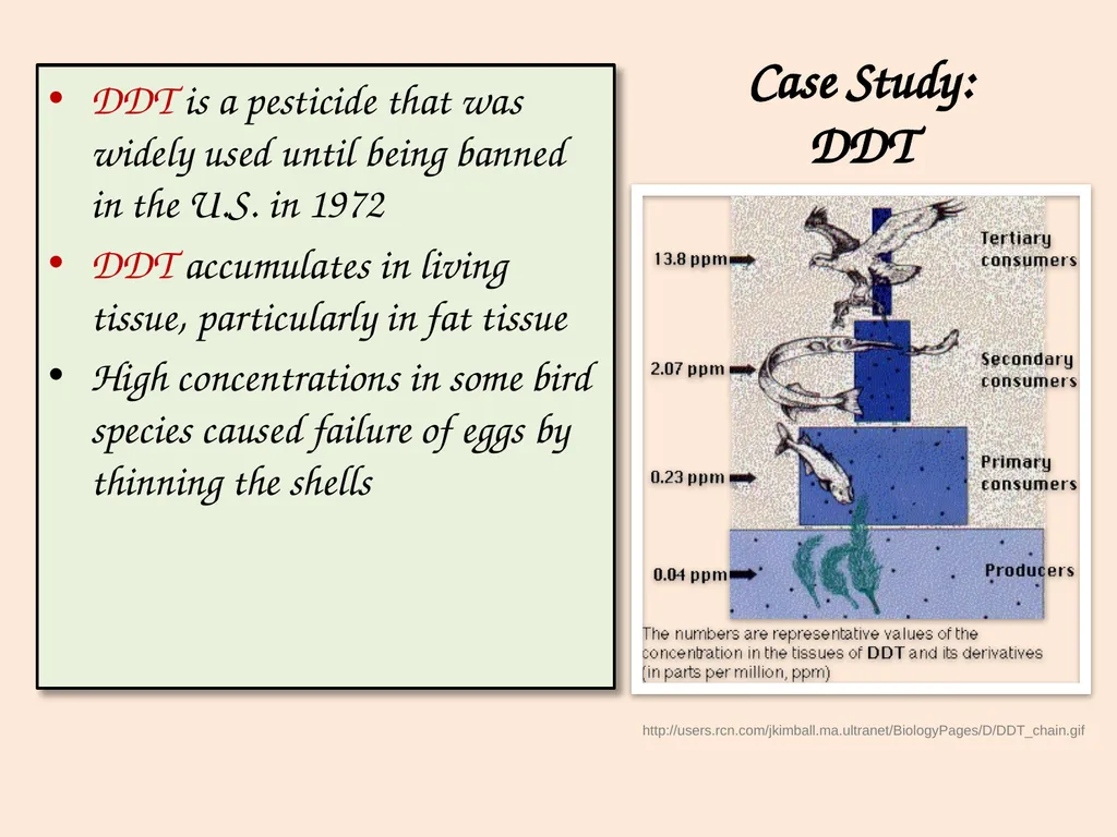 Bioaccumulation and Biomagnification - slide 10 of 14