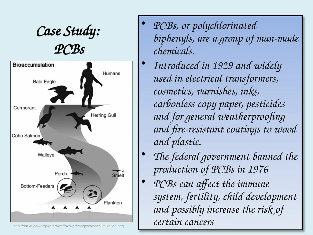 Bioaccumulation and Biomagnification - slide 13 of 14