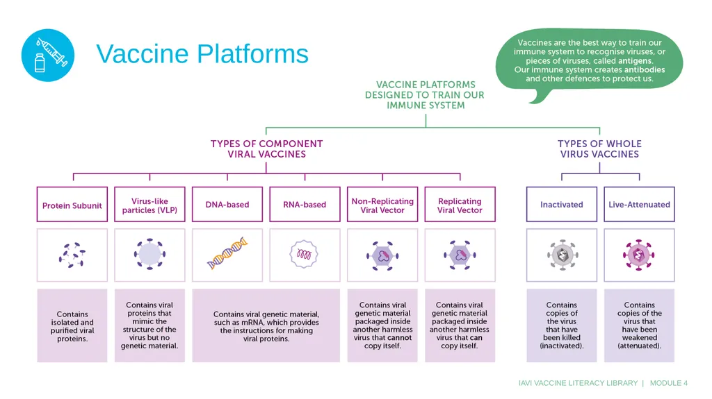 2022 MODULE 4: INTRODUCTION TO VACCINES What is a - slide 6 of 15