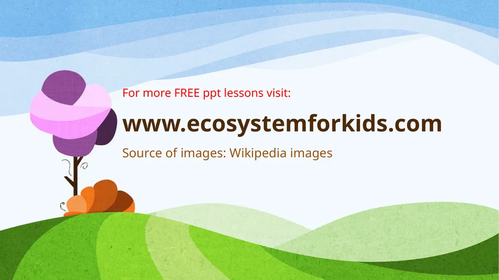 Frog Life Cycle www.ecosystemforkids.com First - slide 7 of 7