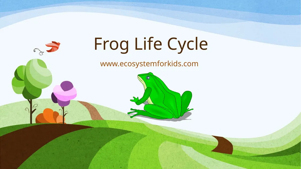 Frog Life Cycle www.ecosystemforkids.com First - slide 1 of 7