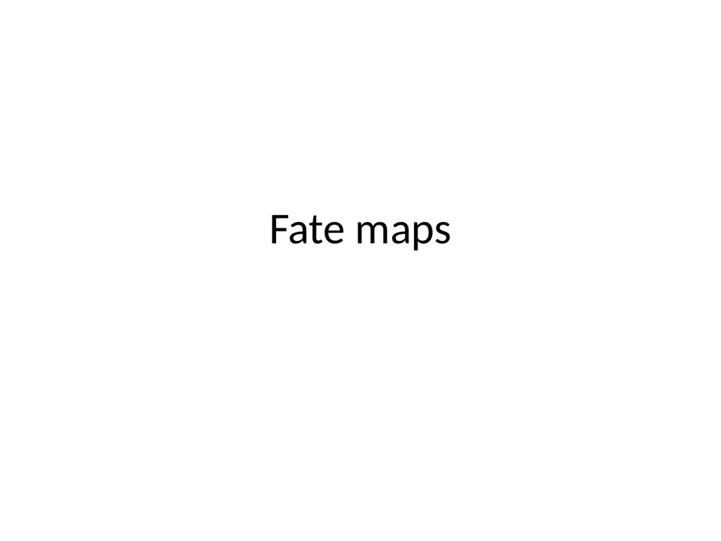 Fate maps Construction of blastula map based on - slide 1 of 14
