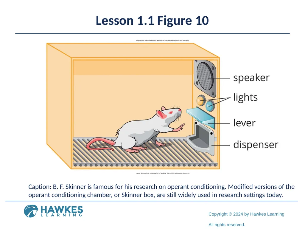 Lesson 1.1 What is Psychology? What Is Psychology? - slide 17 of 25