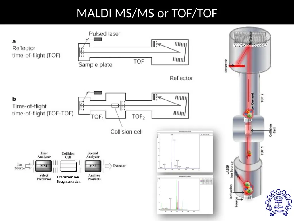 MATRIX ASSISTED LASER DESORPTION/ IONIZATION TIME - slide 8 of 20