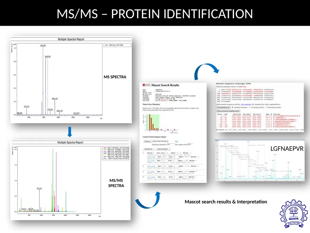 MATRIX ASSISTED LASER DESORPTION/ IONIZATION TIME - slide 9 of 20