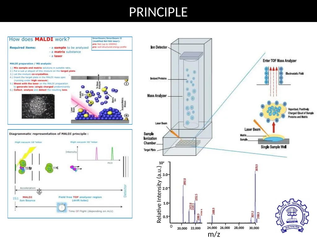 MATRIX ASSISTED LASER DESORPTION/ IONIZATION TIME - slide 3 of 20