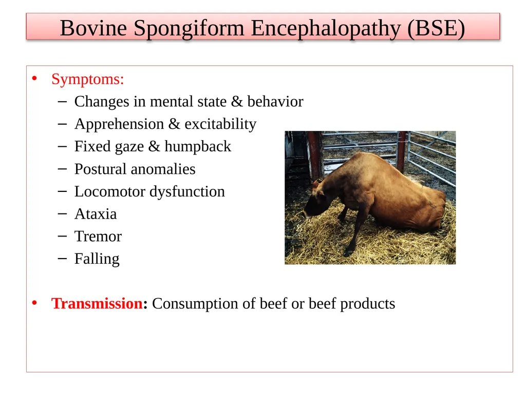 UNIT-3 ‘Zoonotic disease’ (Credit Hours-3+1) - slide 8 of 12