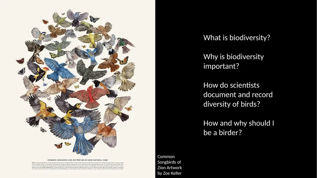 Lesson 2: Research Methods using Field Study and - slide 3 of 15