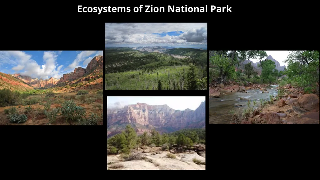 Lesson 2: Research Methods using Field Study and - slide 2 of 15