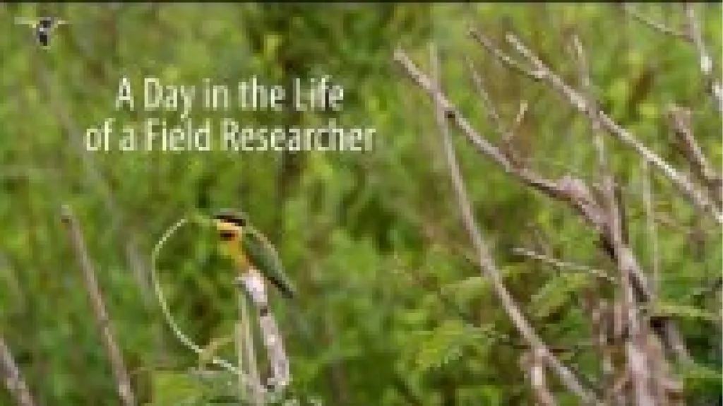Lesson 2: Research Methods using Field Study and - slide 14 of 15