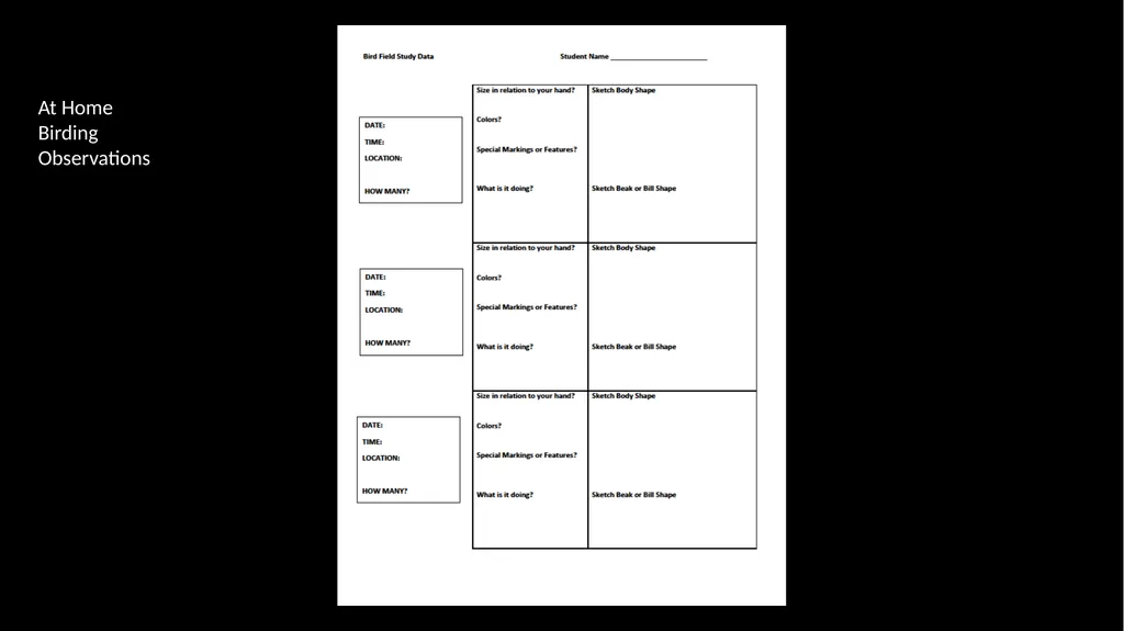 Lesson 2: Research Methods using Field Study and - slide 13 of 15