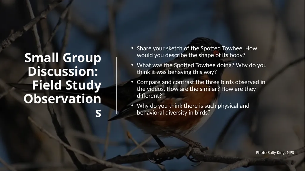 Lesson 2: Research Methods using Field Study and - slide 9 of 15
