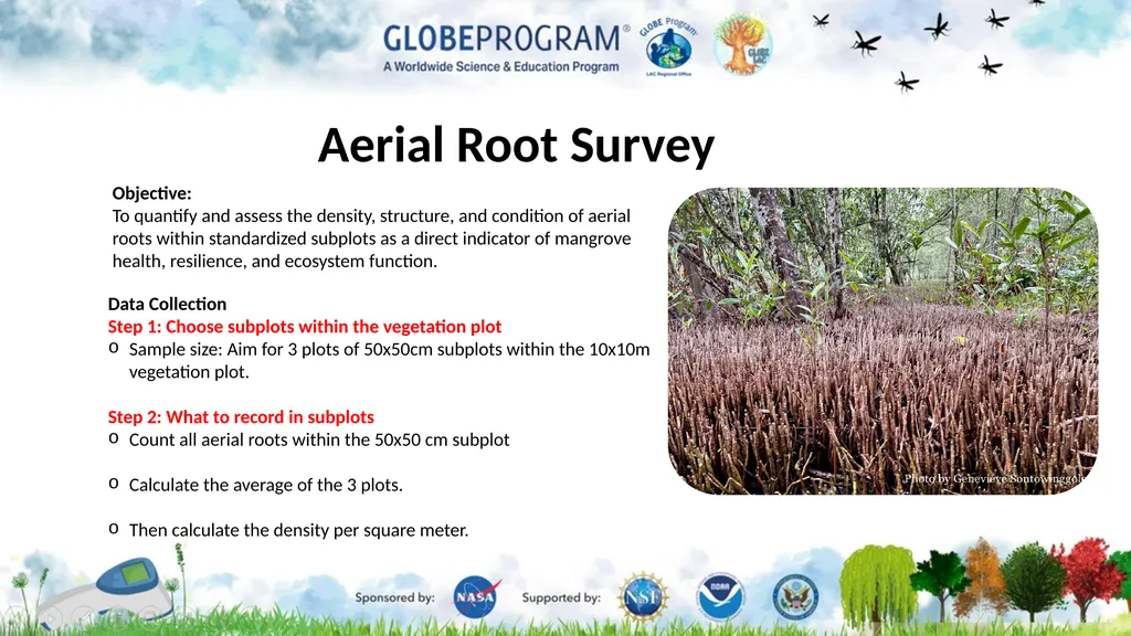 Exploring the Mangrove Use of bioindicators for - slide 9 of 12