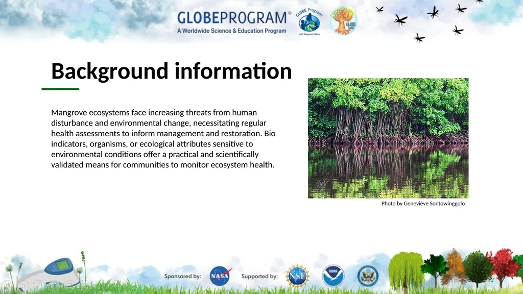 Exploring the Mangrove Use of bioindicators for - slide 3 of 12