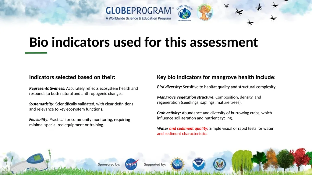 Exploring the Mangrove Use of bioindicators for - slide 5 of 12