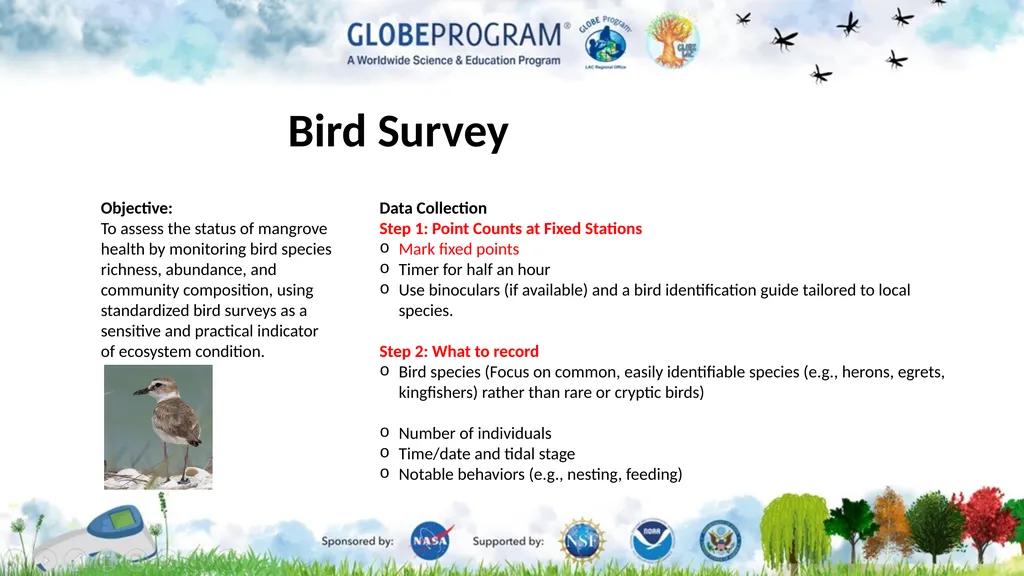 Exploring the Mangrove Use of bioindicators for - slide 11 of 12