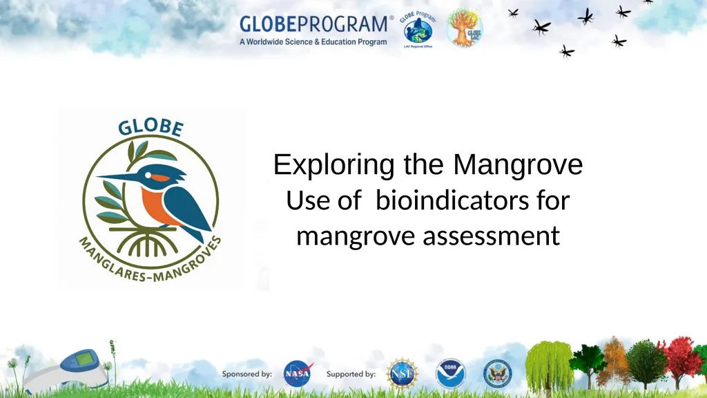 Exploring the Mangrove Use of bioindicators for - slide 1 of 12