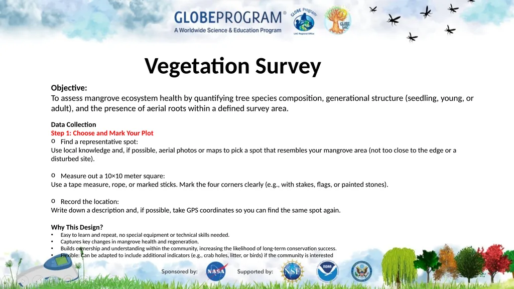Exploring the Mangrove Use of bioindicators for - slide 7 of 12