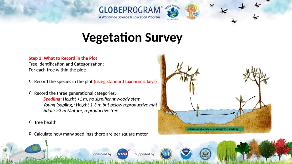 Exploring the Mangrove Use of bioindicators for - slide 8 of 12