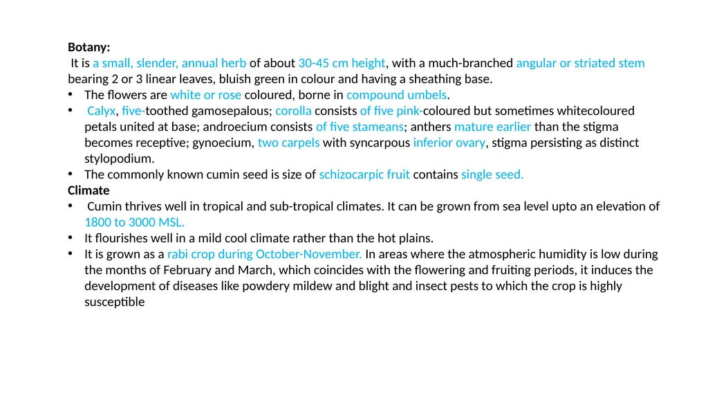 CUMIN GODI SUSMITHA CUMIN Scientific Name : - slide 5 of 11