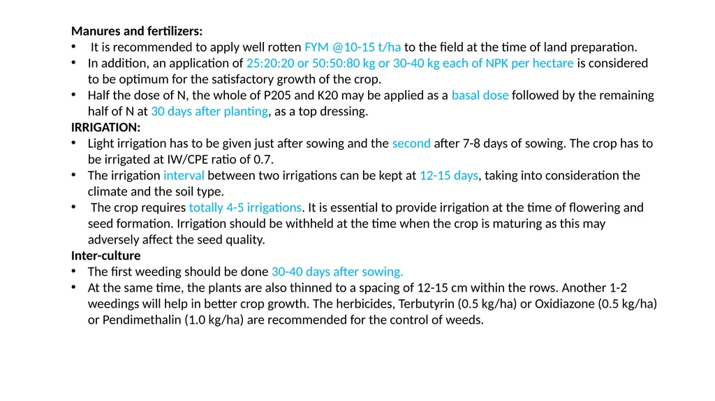 CUMIN GODI SUSMITHA CUMIN Scientific Name : - slide 10 of 11